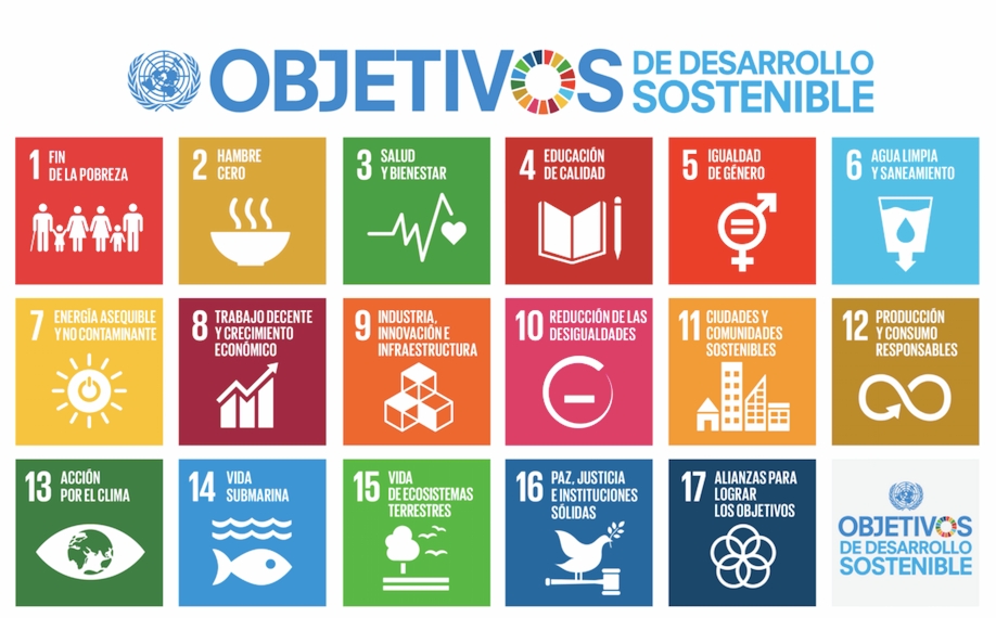 ONU aprueba objetivo por una educación inclusiva y equitativa