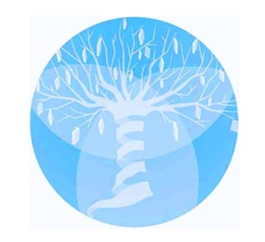 Abiertas matrículas cursos Nivelación de Estudios Básica y Media 2016